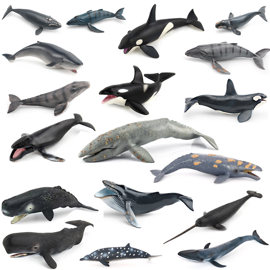 Kids Toys China - リアルなザトウクジラ、カジキ、イッカク、シャチ、海洋生物動物モデル、アクションフィギュア、教育装飾玩具