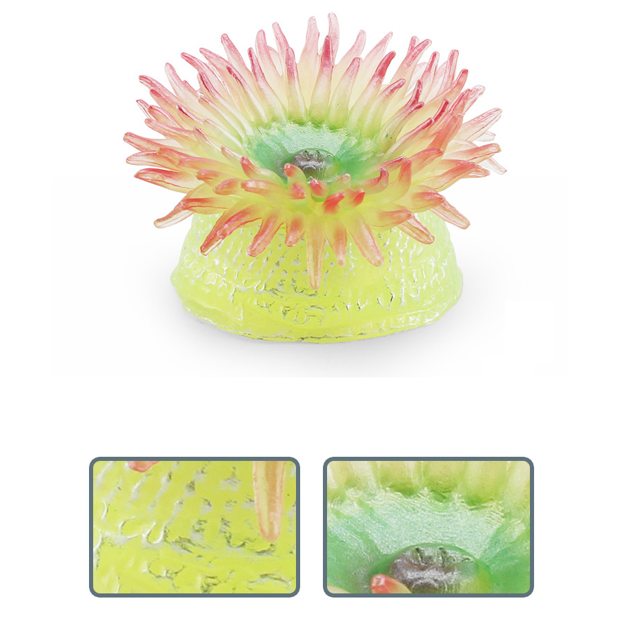 リアルなサンゴ海のアネモネ海洋生物動物プラスチックモデルフィ - Kids Toys China のレビューと価格
