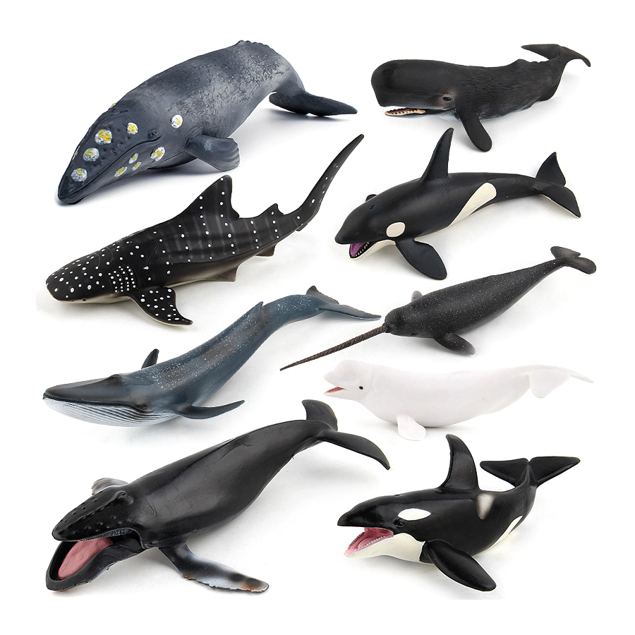 リアルなザトウクジラ、カジキ、イッカク、シャチ、海洋生物動物 - Kids Toys China のレビューと価格