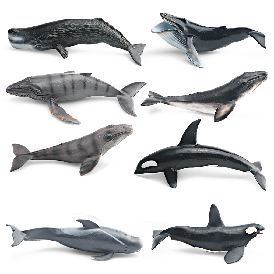 リアルなザトウクジラ、カジキ、イッカク、シャチ、海洋生物動物 - Kids Toys China のレビューと価格