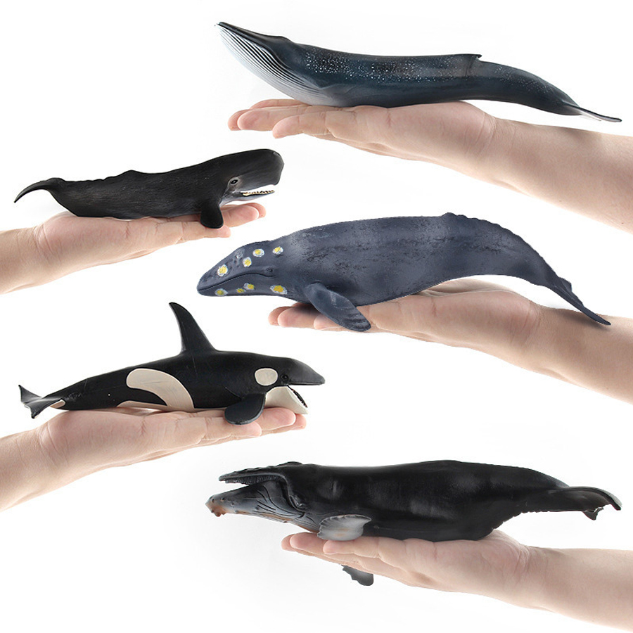 リアルなザトウクジラ、カジキ、イッカク、シャチ、海洋生物動物 - Kids Toys China のレビューと価格