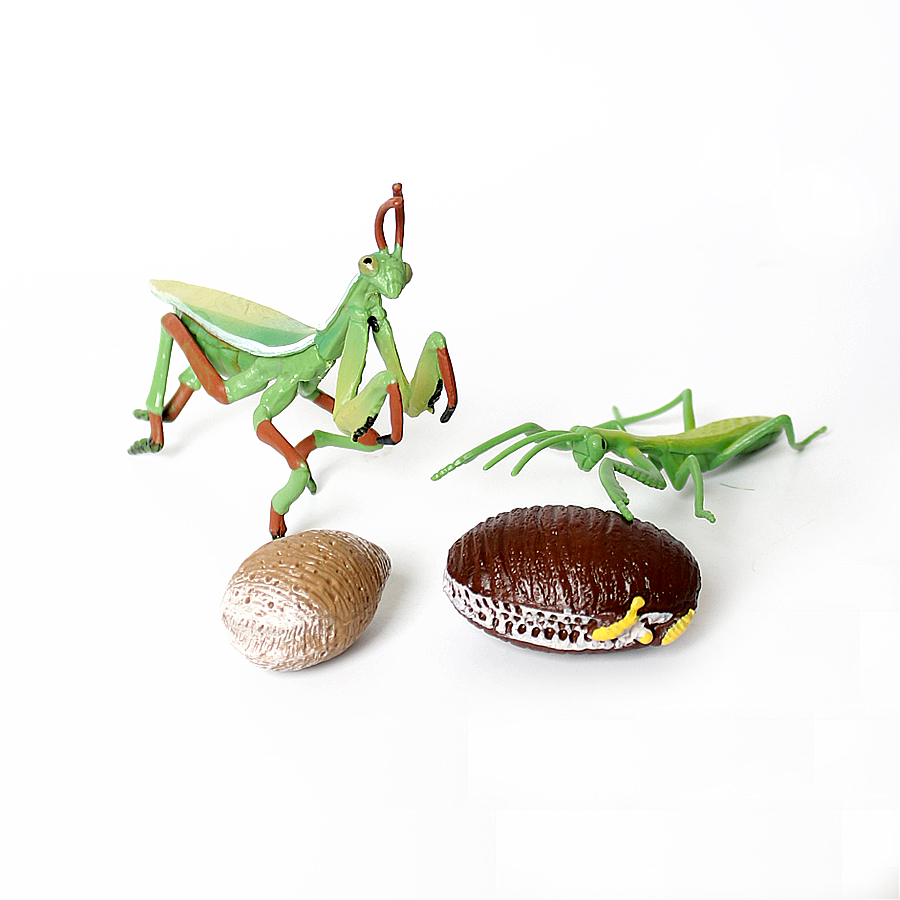 リアルな蘭マントス、枯れ葉マントス、巨大葉昆虫、バッタモデル - Kids Toys China のレビューと価格